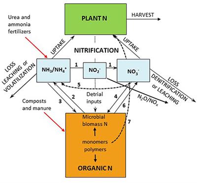 Controls and Adaptive Management of Nitrification in Agricultural Soils